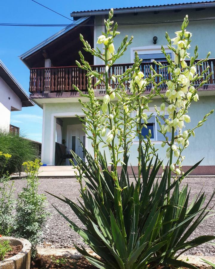 Apartman Lena Tusilovic Esterno foto